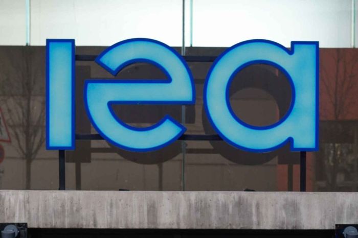Divulgação - IEA