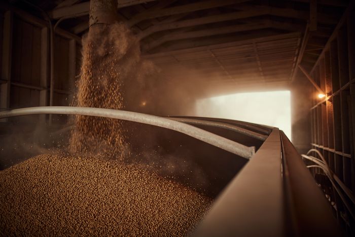 Divulgação - United Soybean Board
