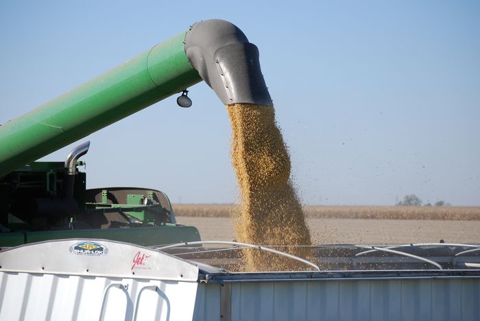 Divulgação - United Soybean Board
