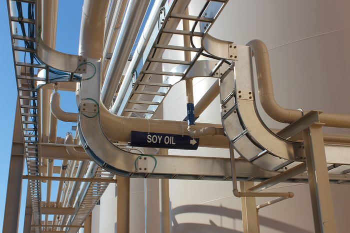 Divulgação - United Soybean Board