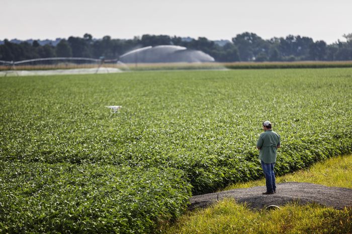 Divulgação - United Soybean Board