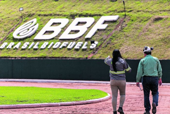 Divulgação - BBF