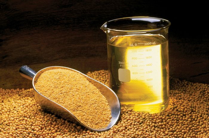 Divulgação - United Soybean Board