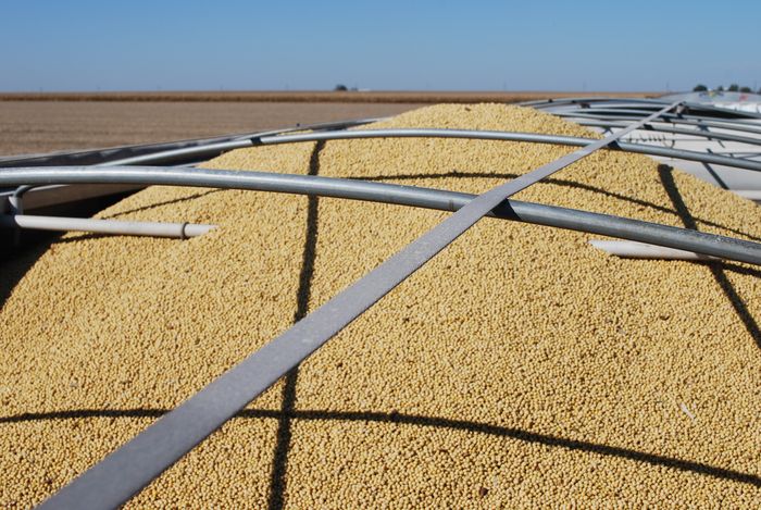 Divulgação - United Soybean Board