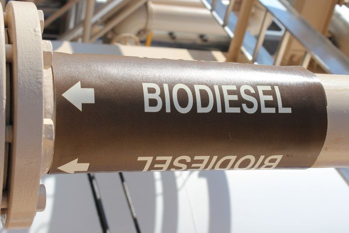 Divulgação - United Soybean Board