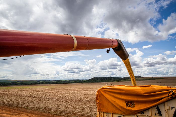 Uso de gordura bovina cresce, mas óleo de soja ainda domina produção de biodiesel no primeiro semestre de 2026