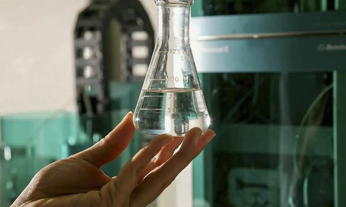 BiodieselBR.com