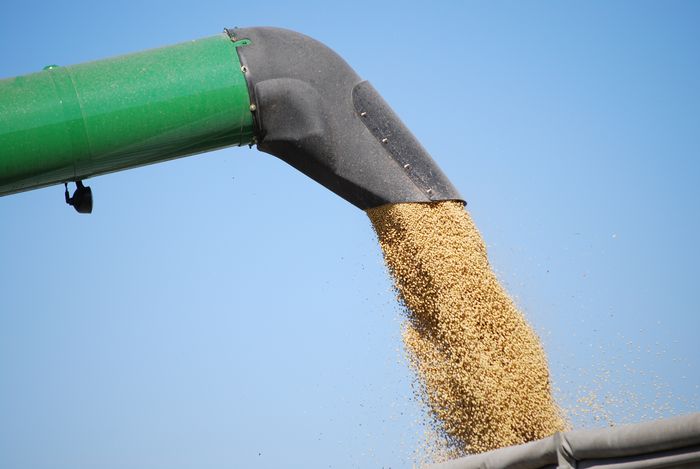 Divulgação - United Soybean Board