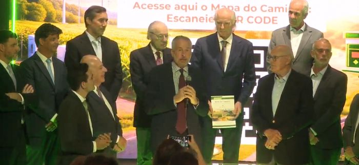 Reprodução - YouTube