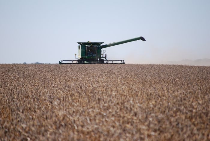 Divulgação - United Soybean Board