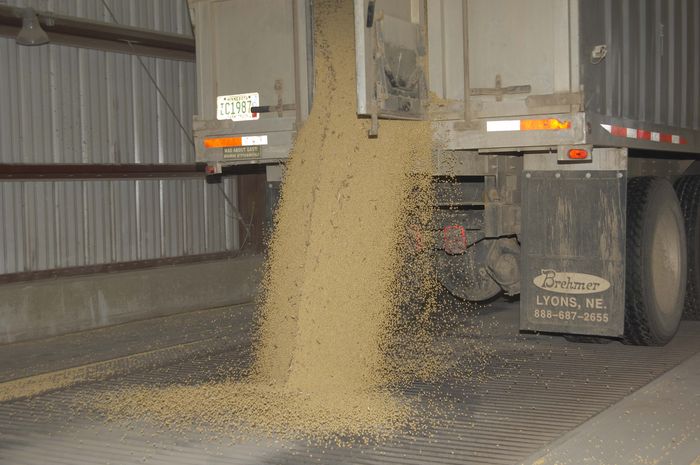 Divulgação - United Soybean Board