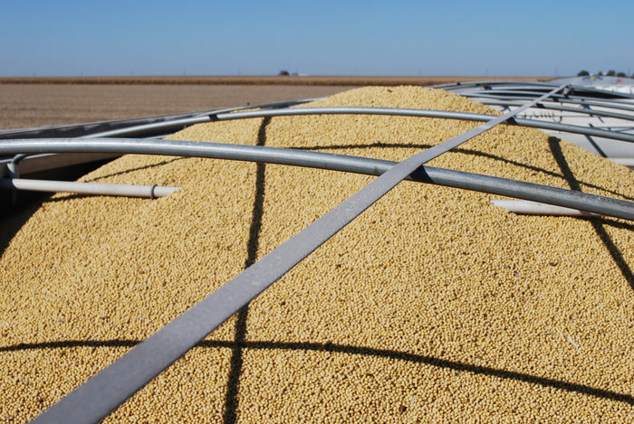 Divulgação - United Soybean Board