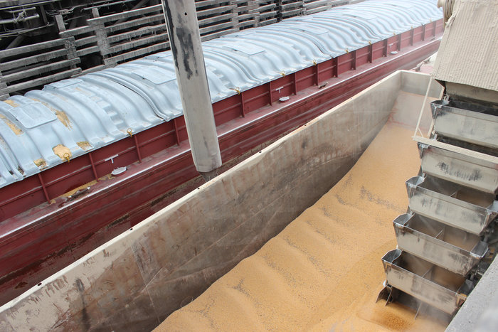 United Soybean Board