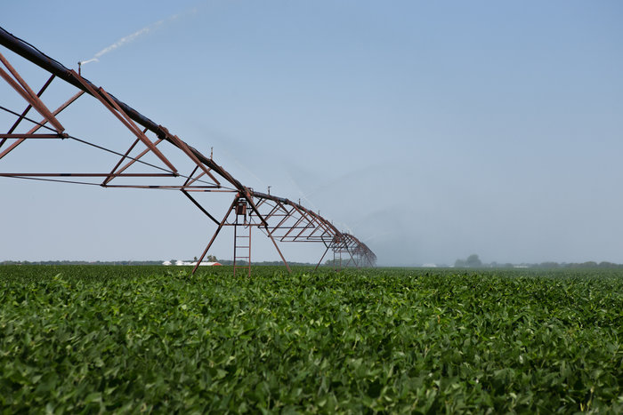 United Soybean Board