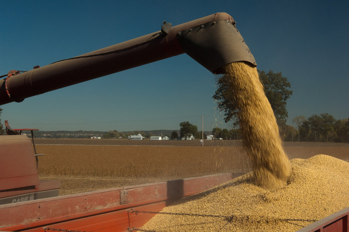 Divulgação - United Soybean Board