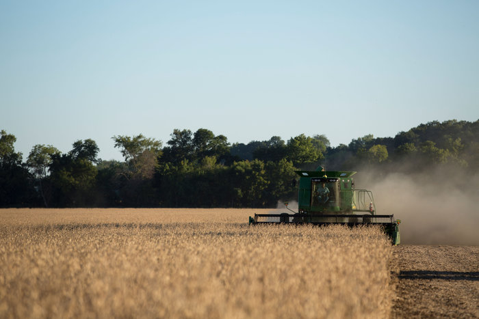 Divulgação - United Soybean Board