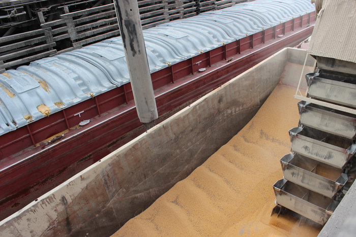 United Soybean Board