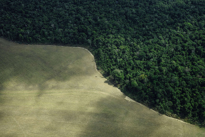 Christian Braga - Greenpeace