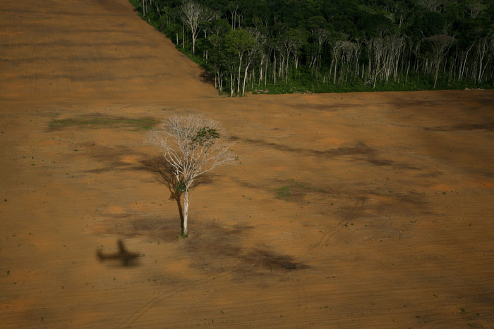 Daniel Beltrá - Greenpeace