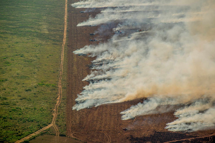 Christian Braga - Greenpeace