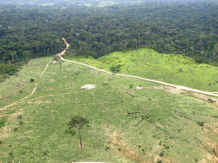 Bruno Taitson - WWF-Brasil