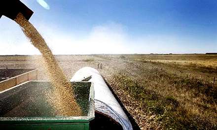ArgentinaExportBiodiesel 300514