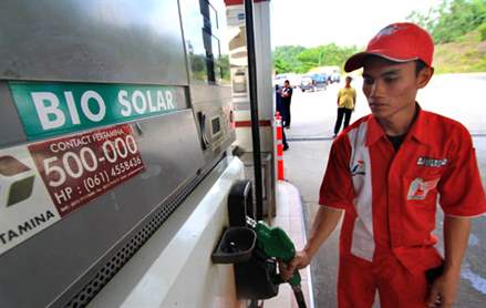 B20Indonesia 010214