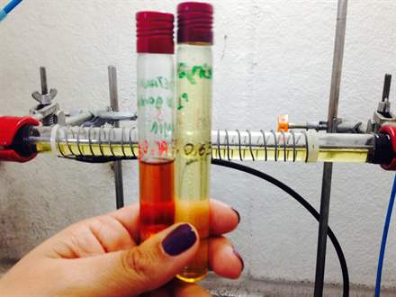 BiodieselPlasma 061014