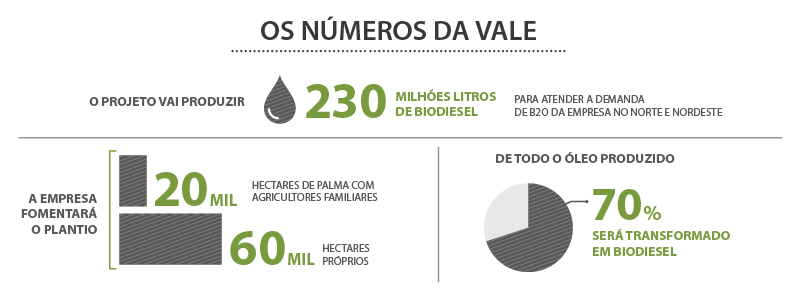 grafico 01