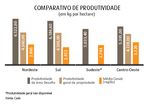 grafico comparativo produtividade