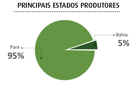 grafico produtores