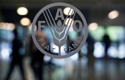 IndiceFAO 080814