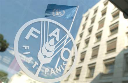 Indice FAO_setembro_050913