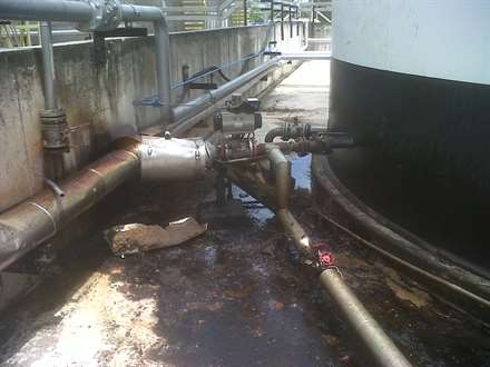 PBio Problema_02_040114