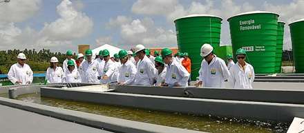 Relatorio Petrobras_041013