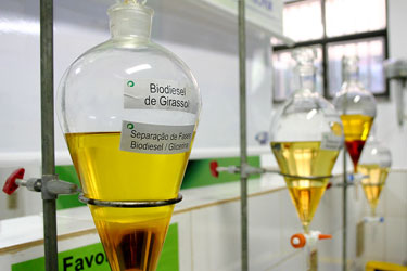 biodiesel MarcosBergamasco
