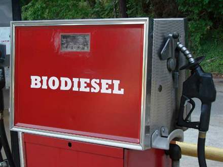 biodiesel filipinas_170713