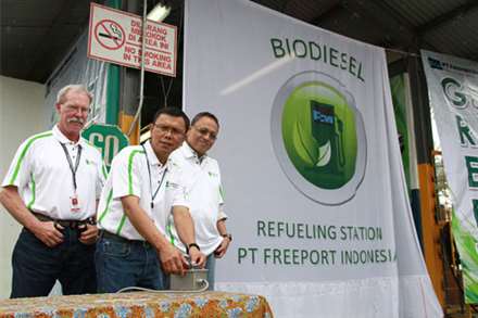 biodiesel indonesia_011013