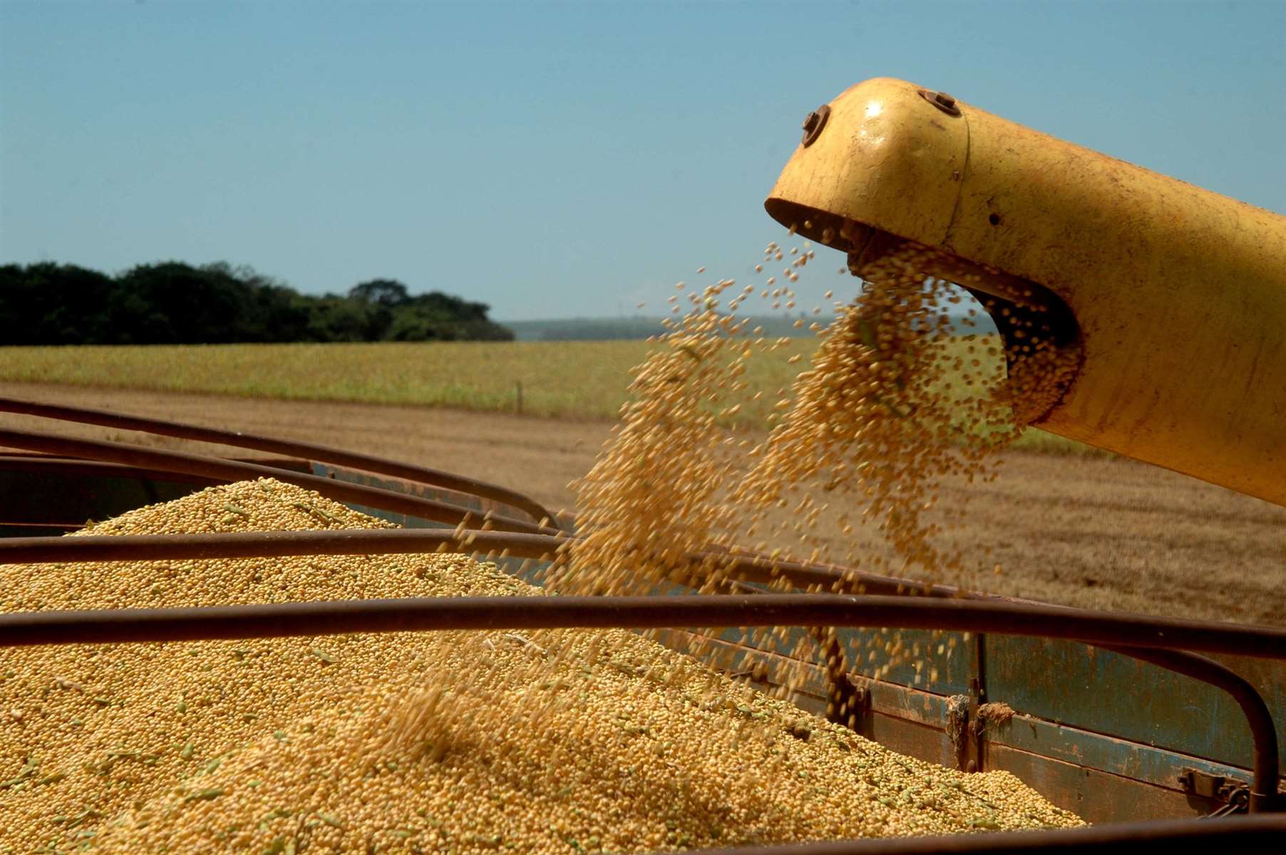 bunge inauguração_2_110313