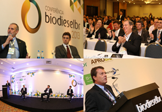 c2013-destaques