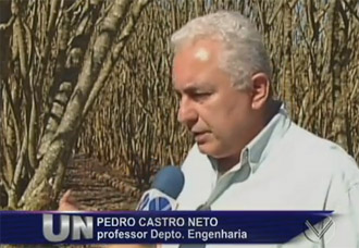 castro-neto-pinhao-manso120712