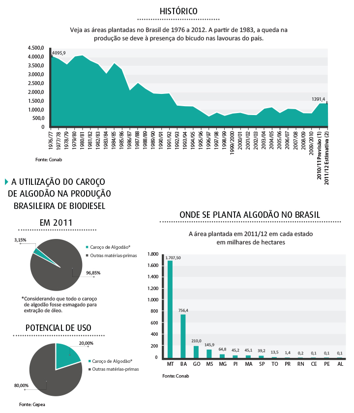 grafico algodão