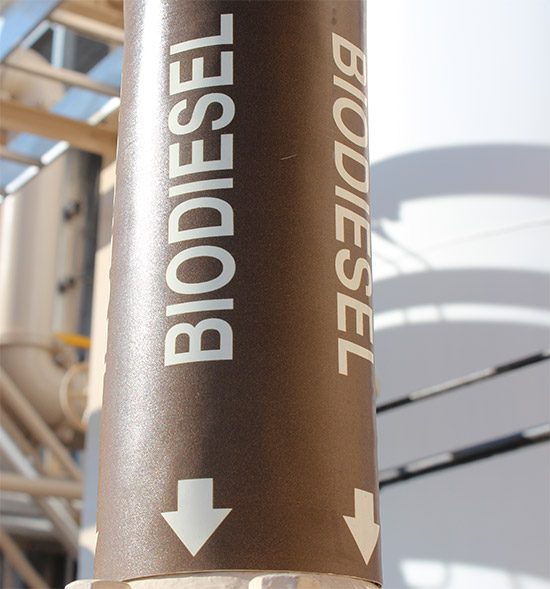 biodiesel usina 280514