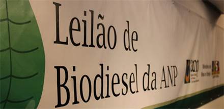 leilão ANP 290513