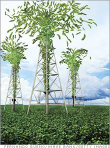 Campo de soja jorrando petróleo verde