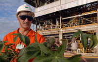 Setor de biodiesel em compasso de espera