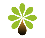 Sobre a Rede Brasileira de Tecnologia de Biodiesel