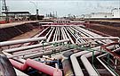 Poliduto pode escoar produção de álcool e biodiesel