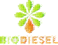 [Análise] O virtual programa nacional de biodiesel - 06.jul.07