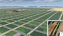 Empresa de biodiesel de algas sob suspeita